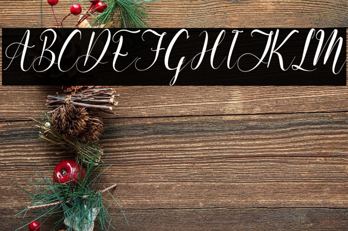 Melinda Amatha Italic Example 3