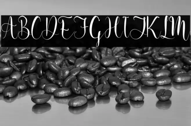 Melinda Amatha Font examples