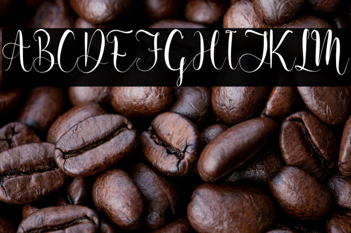 Melinda Amatha Example 3