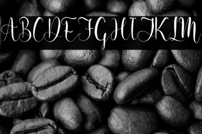 Melinda Amatha Font examples