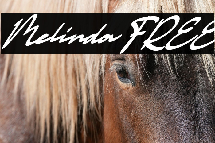 Melinda FREE Example 1