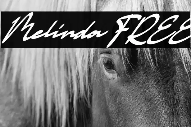 Melinda FREE Font examples