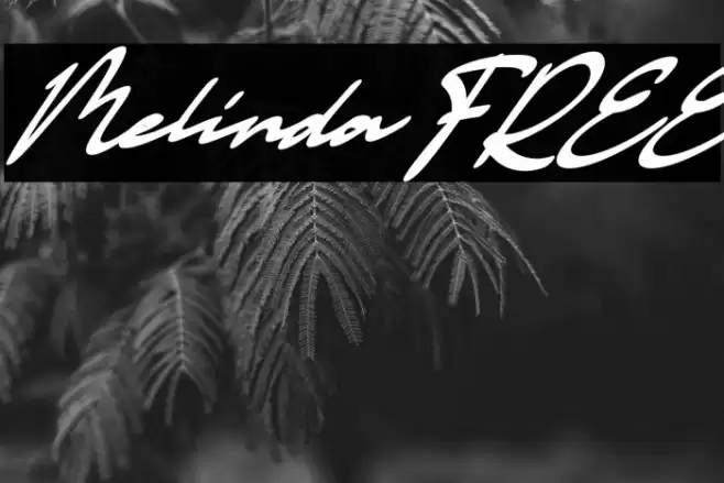 Melinda FREE Font examples