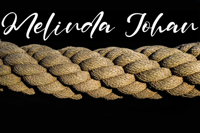 Melinda Johan Example 1