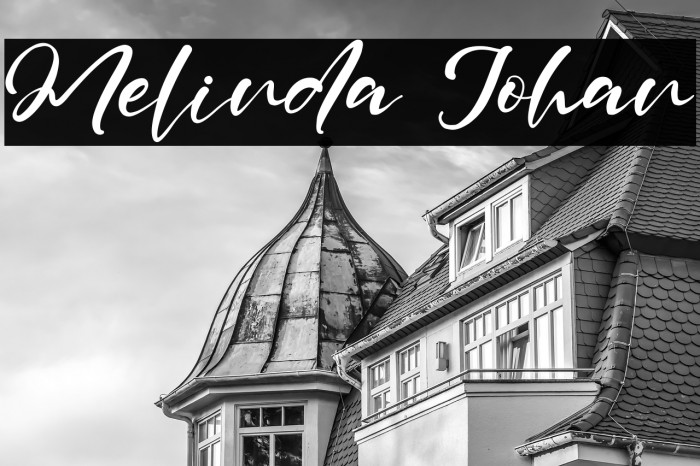 Melinda Johan Example 2