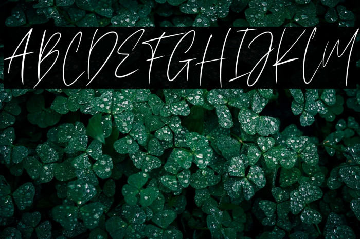 Melinda Rosalie Example 3