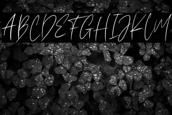 Melinda Rosalie Font examples