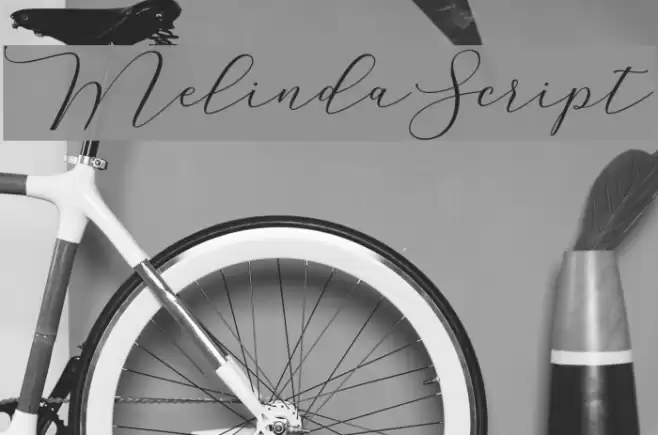 MelindaScript Font examples