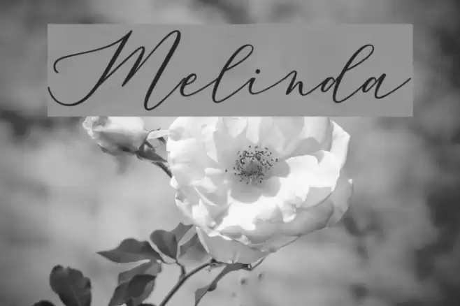 Melinda Font examples