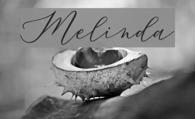 Melinda Font examples