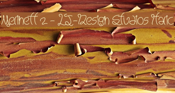 Melinett 2 - LJ-Design Studios Italic Font examples