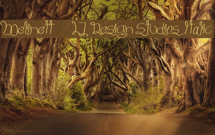 Melinett 3 - LJ-Design Studios Italic Font examples