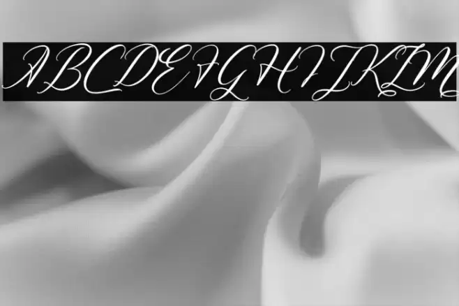 Melintyca Italic Font examples