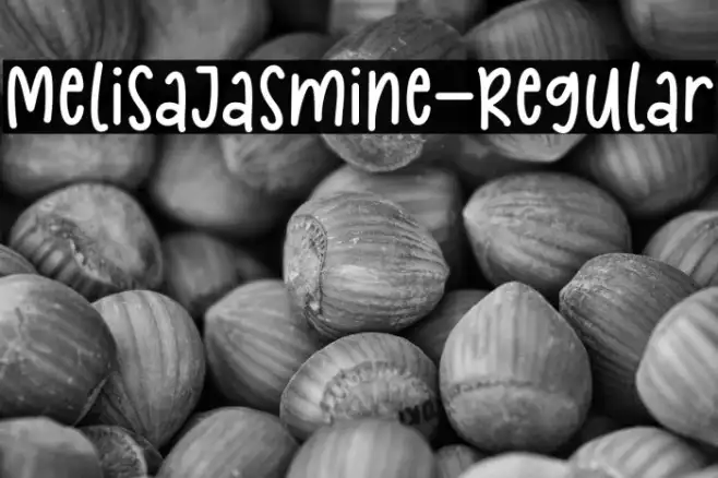 MelisaJasmine-Regular Example 2