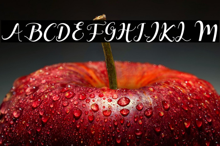 Melisha Putri Italic Example 2