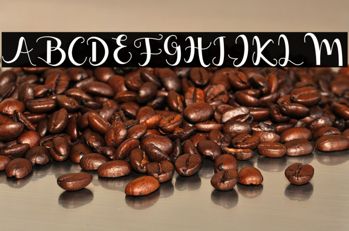 Melisha Putri Example 1