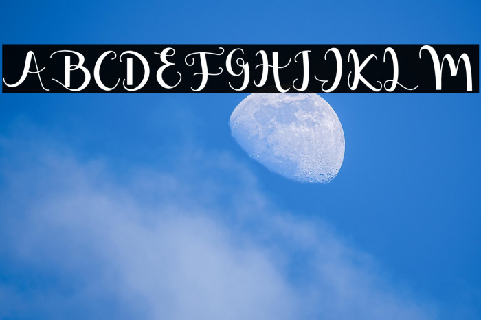 Melisha Putri Example 2