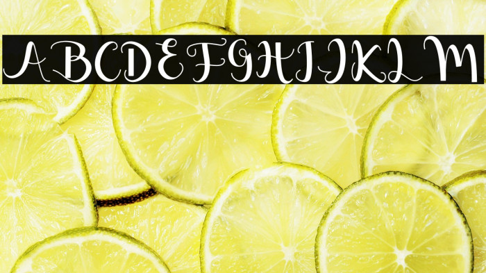 Melisha Putri Example 3