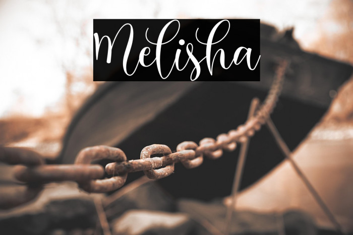 Melisha Example 2