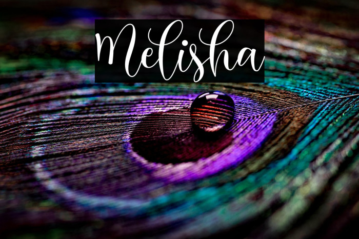 Melisha Example 3