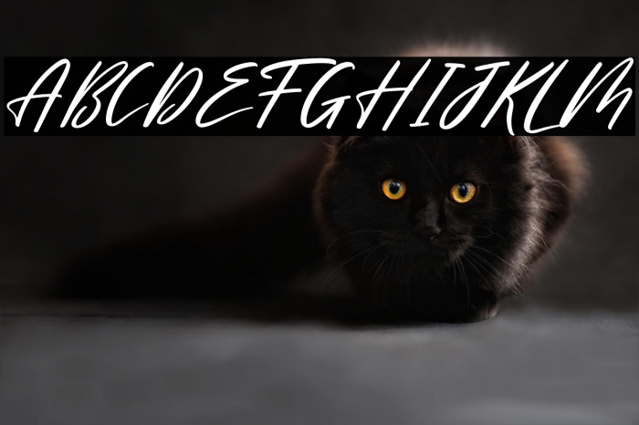 Meliska Italic Example 1