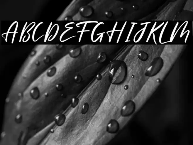 Meliska Font examples