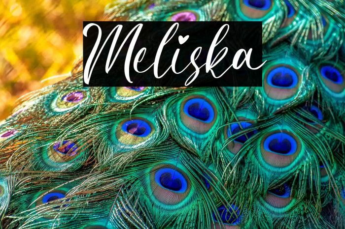 Meliska Example 3