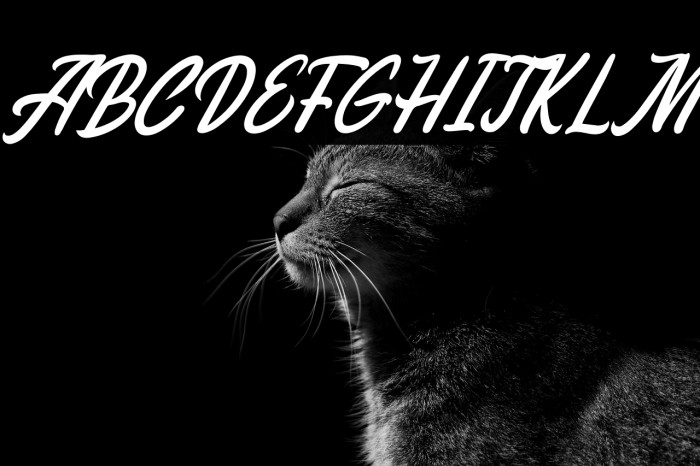 Melissa Italic Example 1