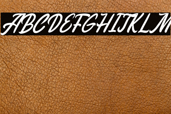 Melissa Italic Example 2