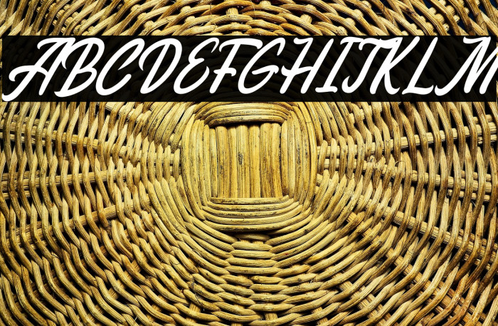 Melissa Italic Example 3