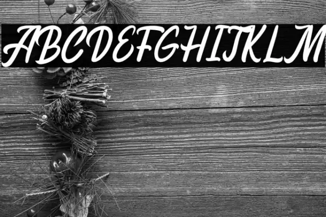 Melissa Font examples