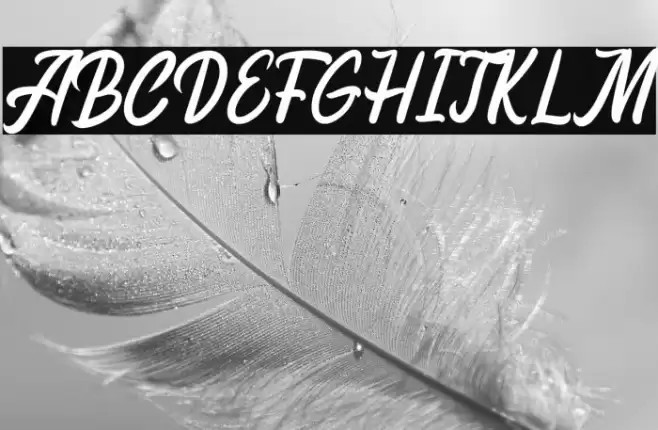 Melissa Font examples