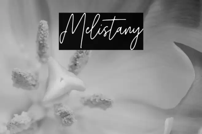 Melistany Шрифта examples