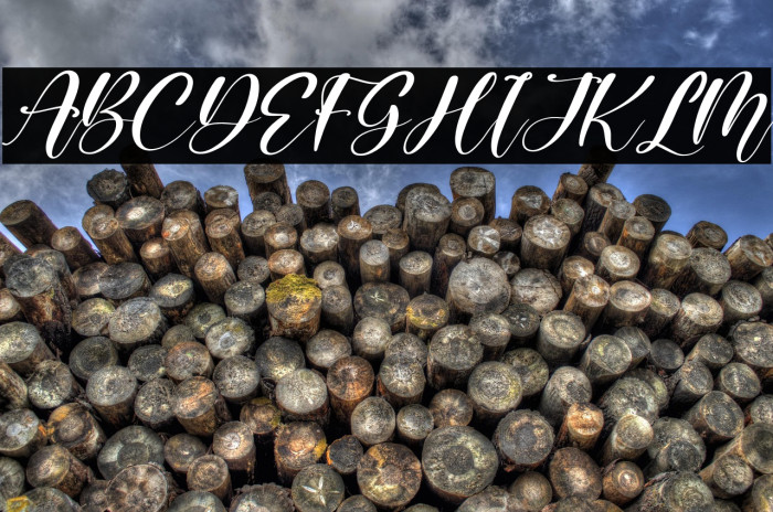 Melisty Patria Italic Example 1