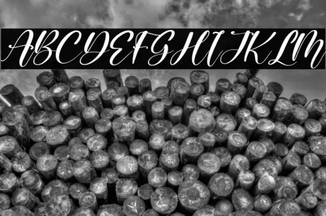 Melisty Patria Italic Font examples