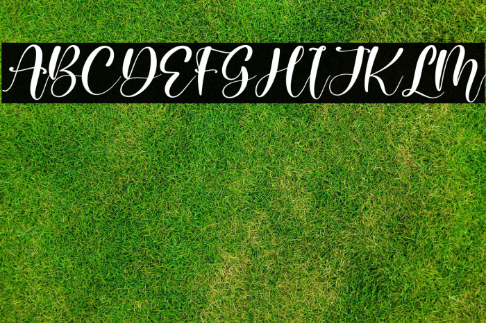 Melisty Patria Example 2