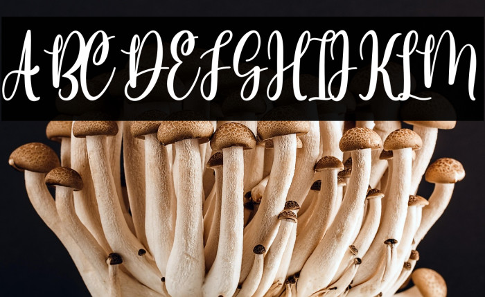 Meliya Personal Use Example 2