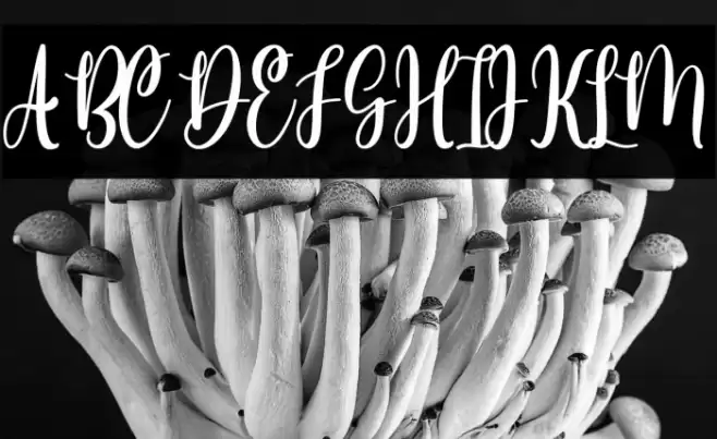 Meliya Personal Use Font examples