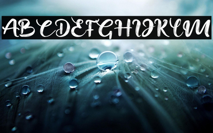 Mella Nissa Example 1