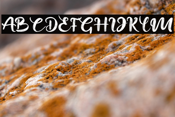 Mella Nissa Example 2