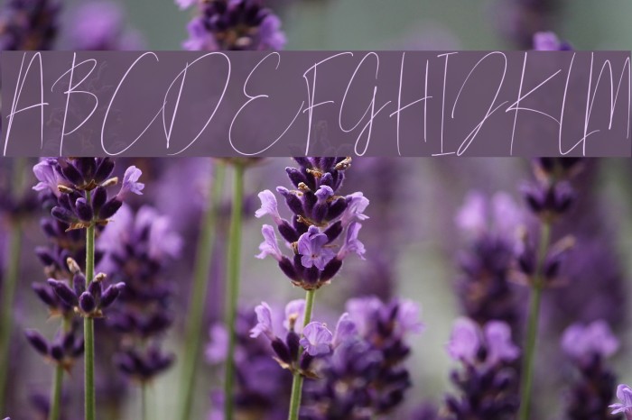 Mellati Script DEMO Regular Font examples