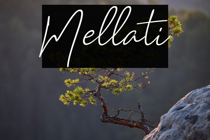 Mellati Example 2