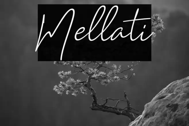 Mellati Font examples