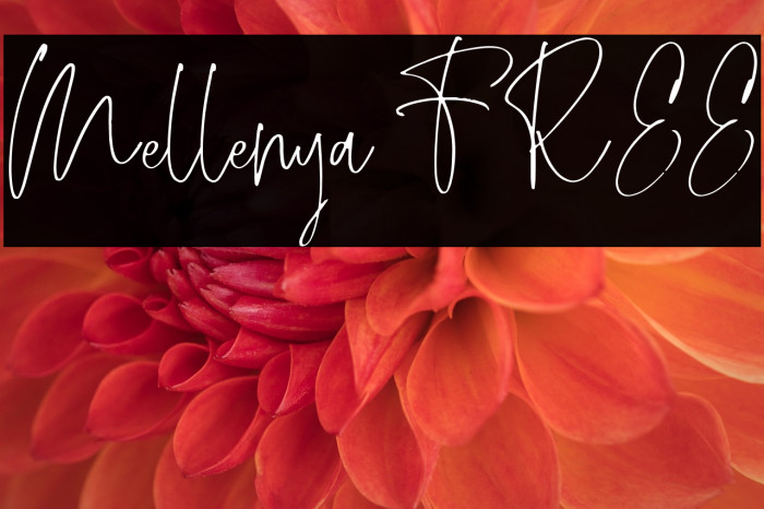 Mellenya FREE Example 3