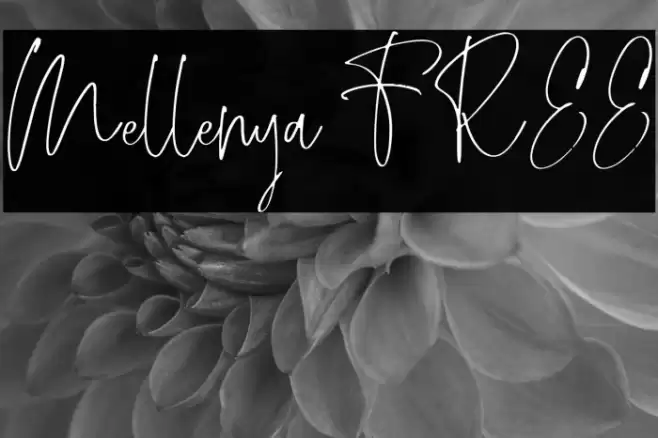 Mellenya FREE Font examples