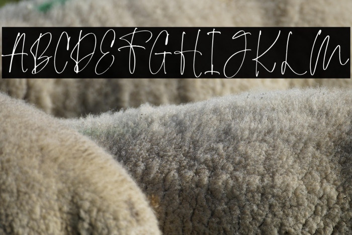 MellenyaFREE Example 2