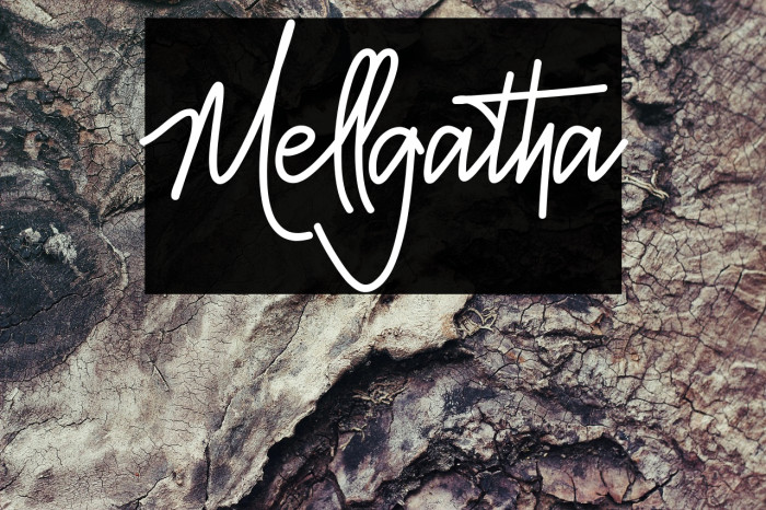 Mellgatha Example 2