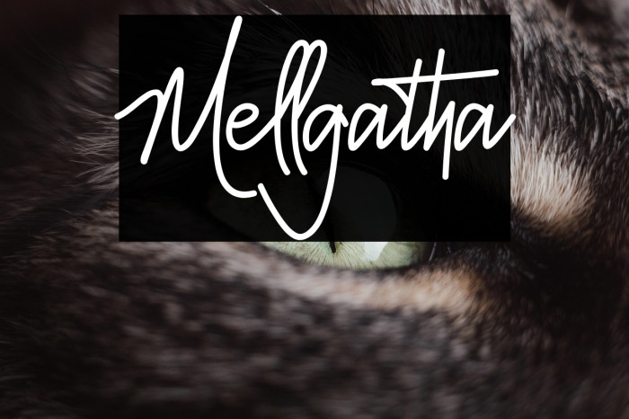 Mellgatha Example 3