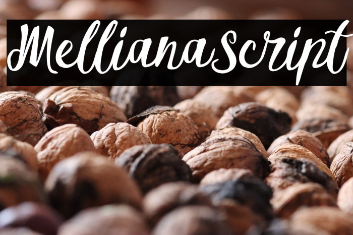 MellianaScript Example 1