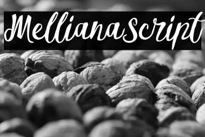 MellianaScript Font examples